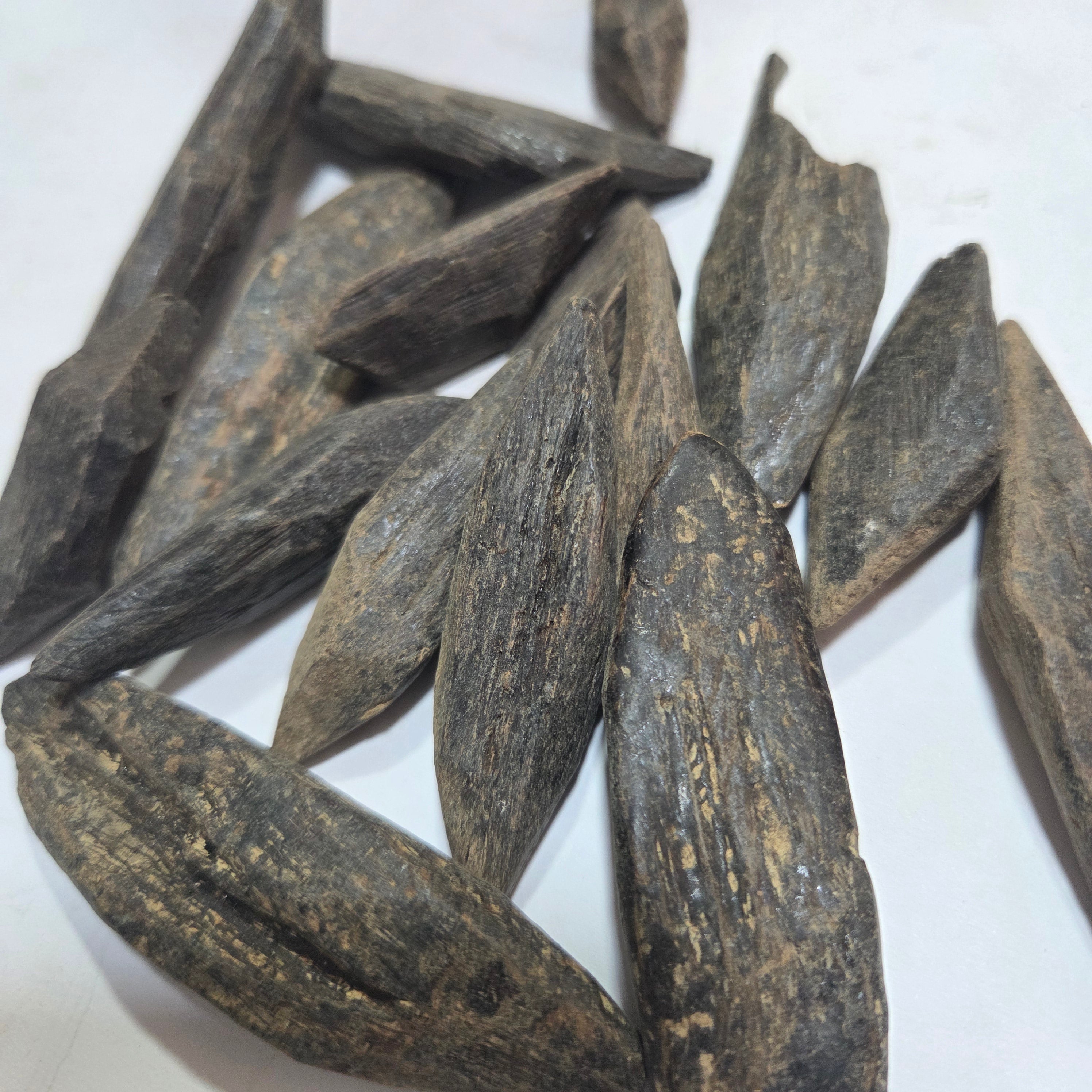 L’Oudh Thaïlandais : un trésor parfumé entre tradition et luxe