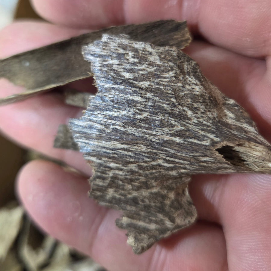 Oudh Naturel Vietnamien – Bois d'Agar des Forêts Tropicales | Amranioud