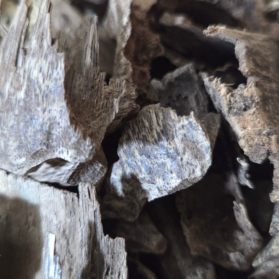 Oudh Naturel Vietnamien – Bois d'Agar des Forêts Tropicales | Amranioud