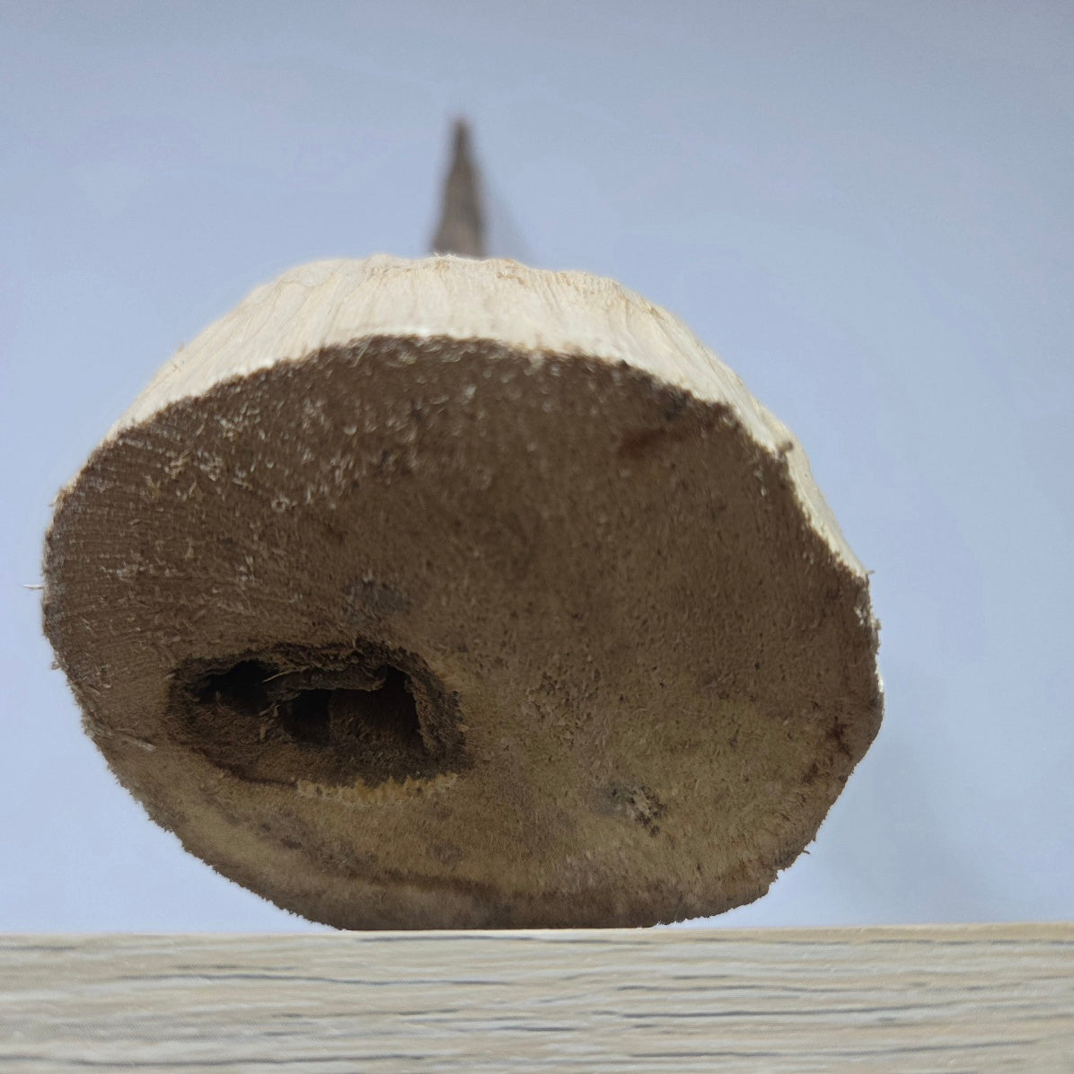 Oudh Naturel Sculpté – Pièce Unique 152 grammes | Amranioud