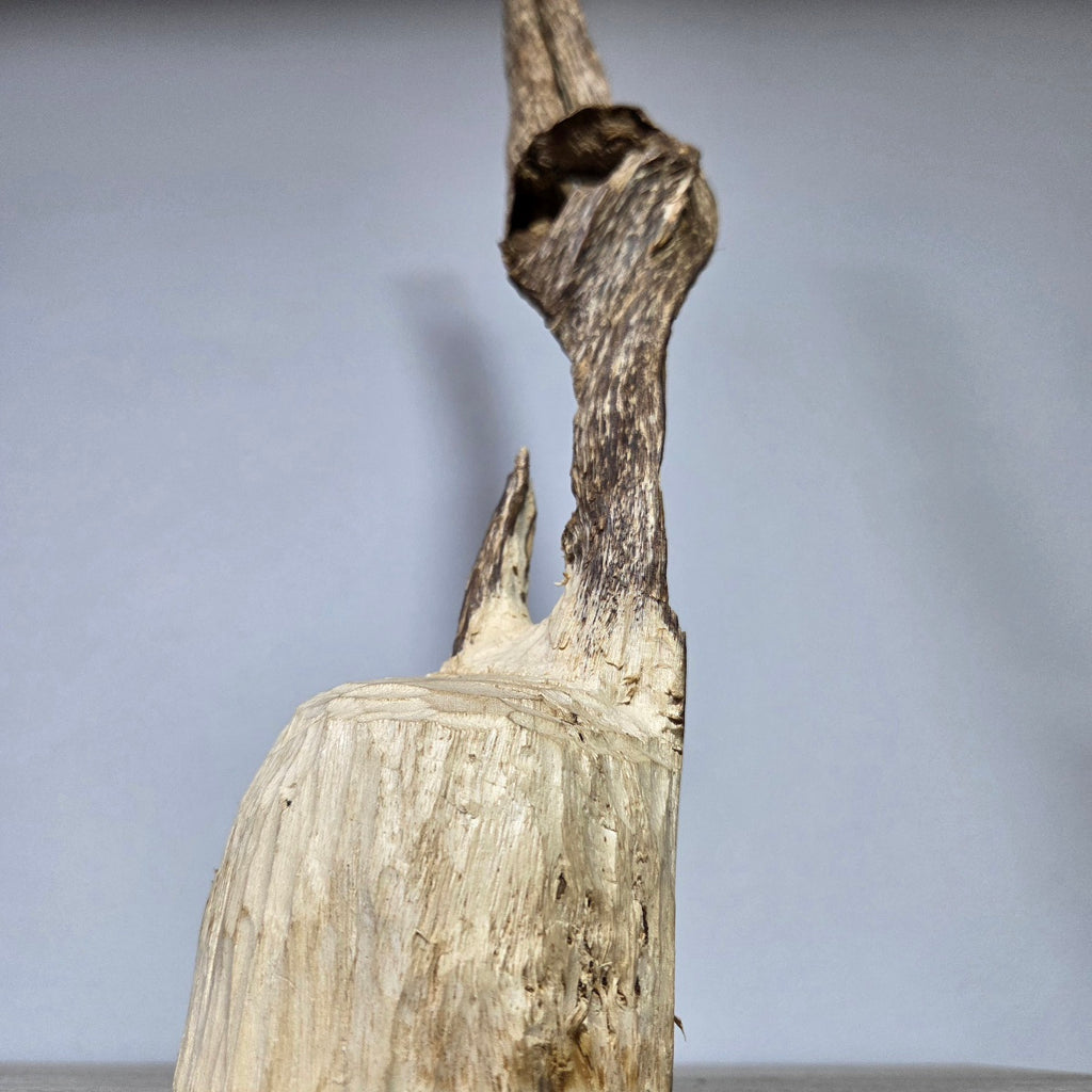 Oudh Naturel Sculpté – Pièce Unique 152 grammes | Amranioud