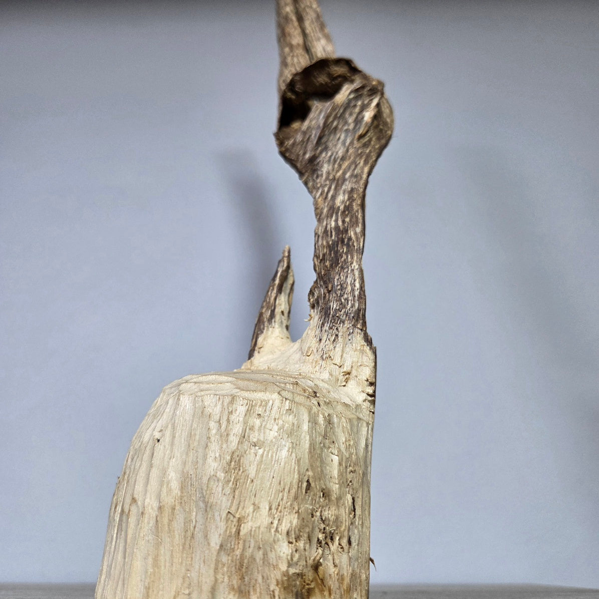 Oudh Naturel Sculpté – Pièce Unique 152 grammes | Amranioud