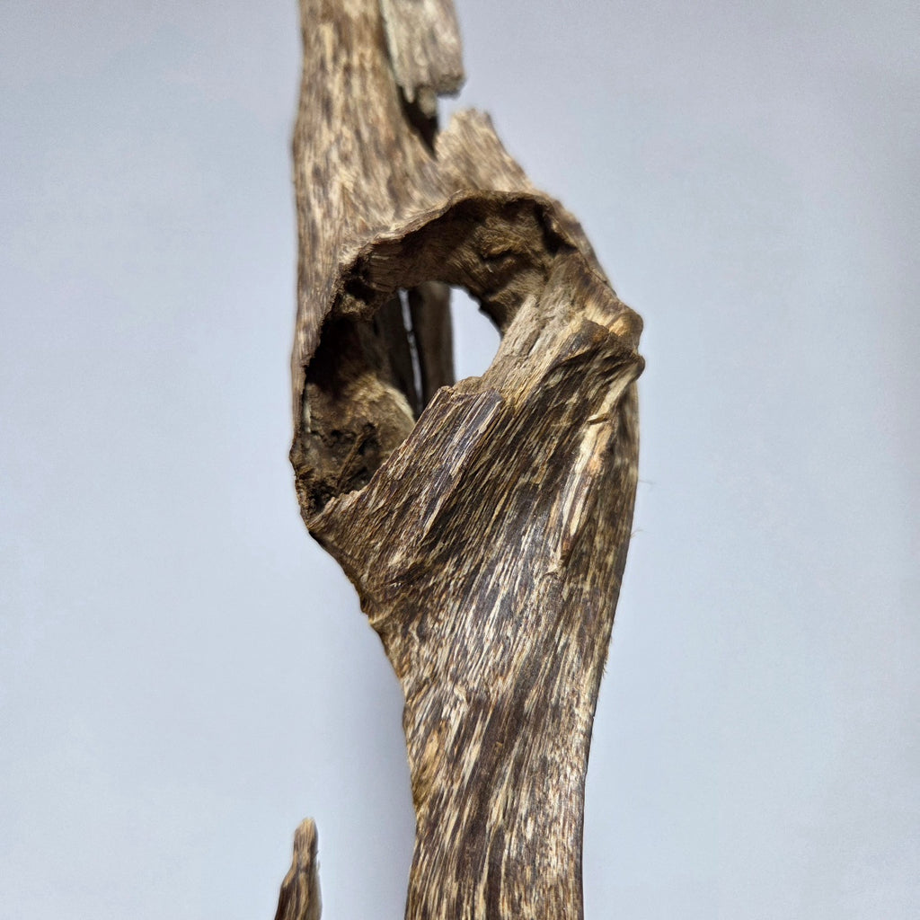 Oudh Naturel Sculpté – Pièce Unique 152 grammes | Amranioud