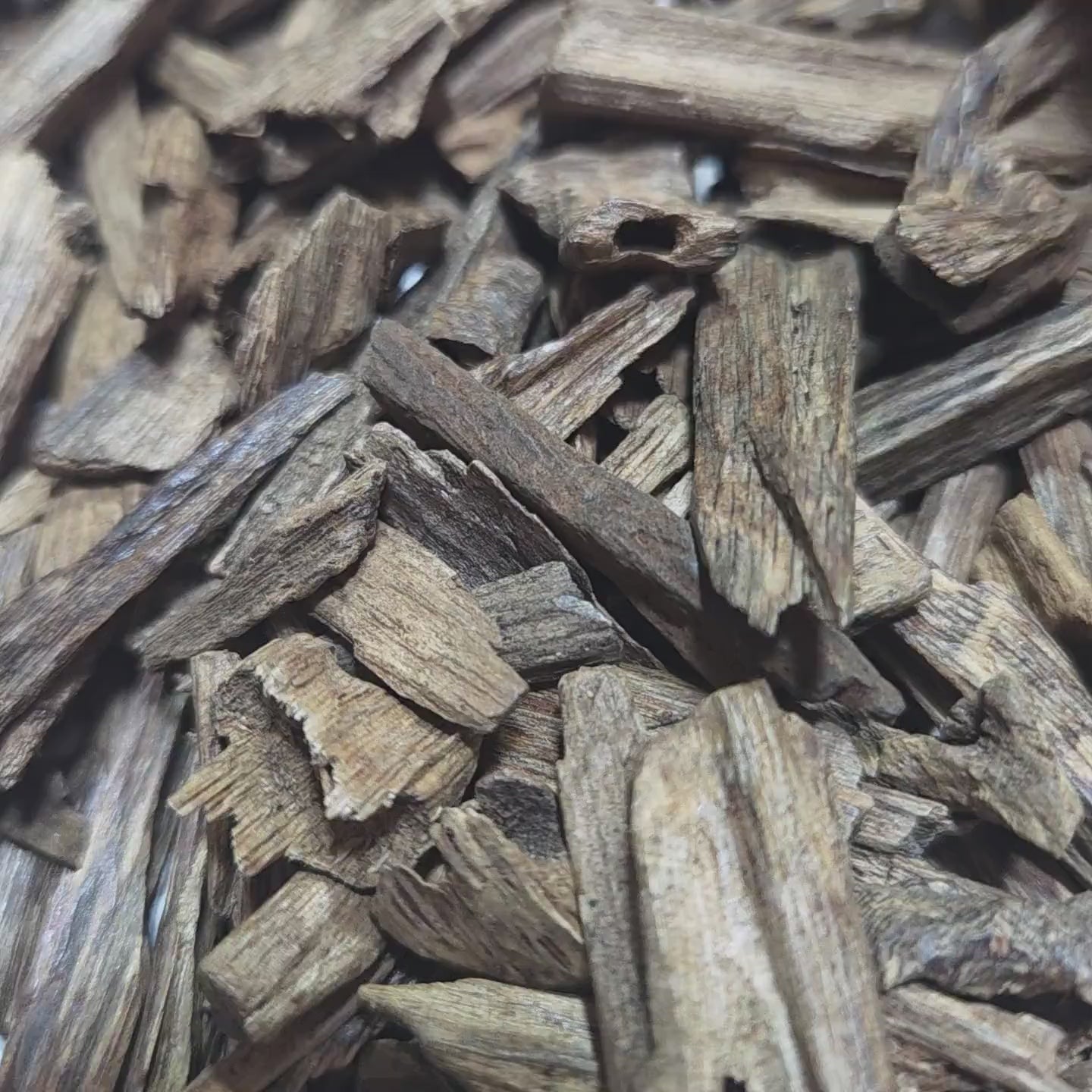 Assam Oud, Hindi Oud, Oud d'Assam 10 grs