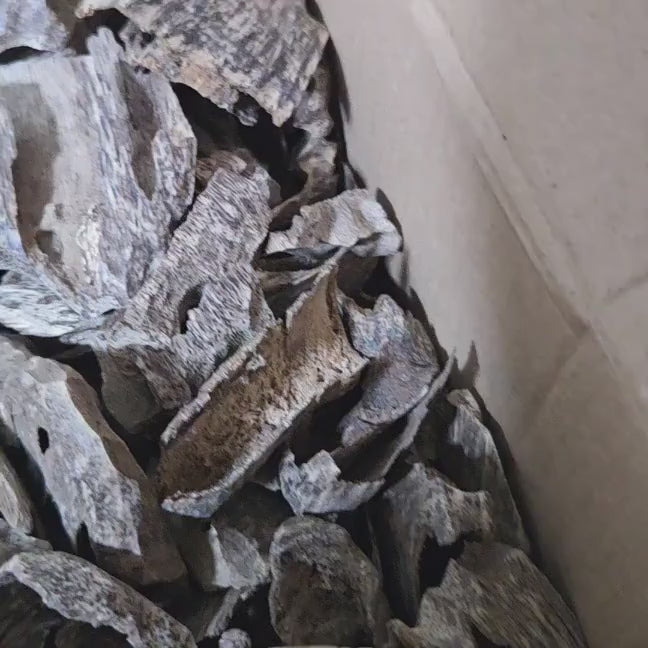 Oudh Naturel Vietnamien – Bois d'Agar des Forêts Tropicales | Amranioud