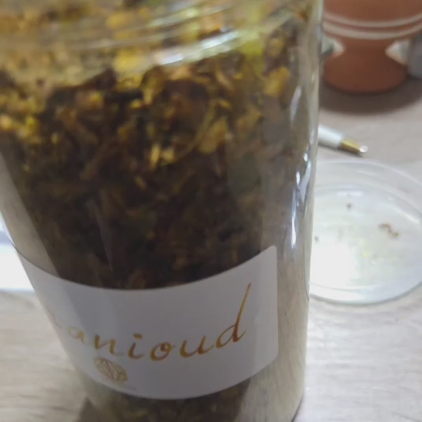 Sarghina Makhzania N1