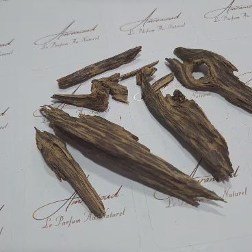 Oudh Malinou TRÈS ANCIENNE – Bois d’agar précieux