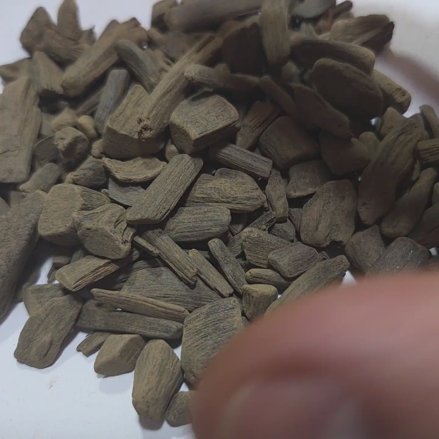 Oudh Merauke Muhassan 5