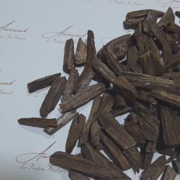 Oudh Merauke Muhassan 54grs