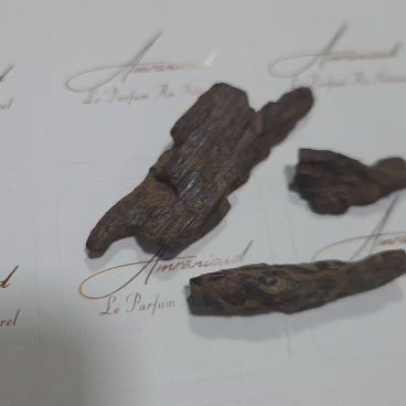 Oudh Tiger vietnamien pur / Double Super Quality(Bois d'Agar à Brûler) 5 grammes