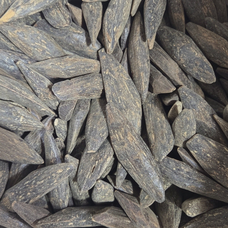 Oudh Thaïlandais Amélioré – 20grs | Qualité Premium