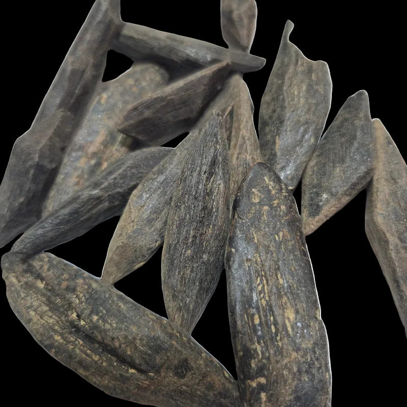 Oudh Thaïlandais Amélioré – 20grs | Qualité Premium