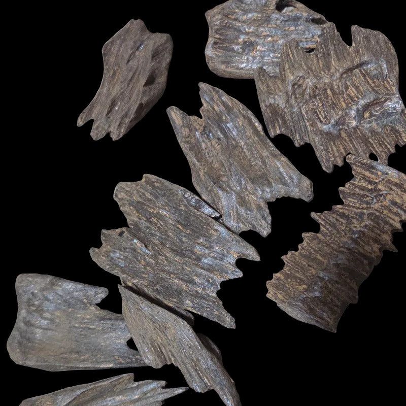 Oudh Kalimantan (amélioré) / Double Super Quality(Bois d'Agar à Brûler) 10 grammes