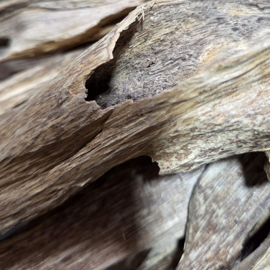 Oudh Naturel indonésien wezri