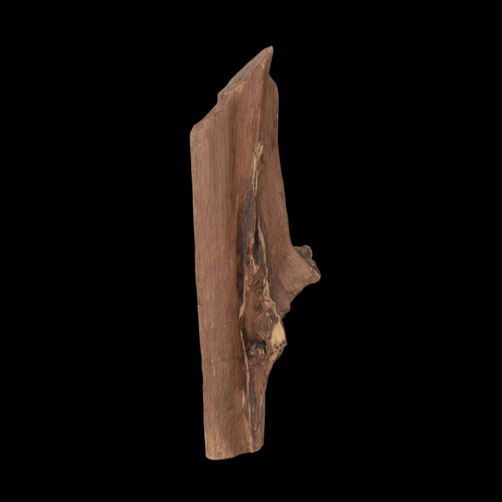 Oudh Naturel Indonésien Sculpté – Pièce Unique 718grs