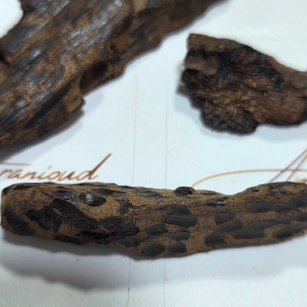 Oudh Tiger vietnamien pur / Double Super Quality(Bois d'Agar à Brûler) 5 grammes