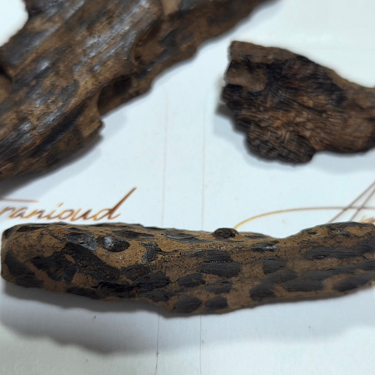Oudh Tiger vietnamien pur / Double Super Quality(Bois d'Agar à Brûler) 5 grammes