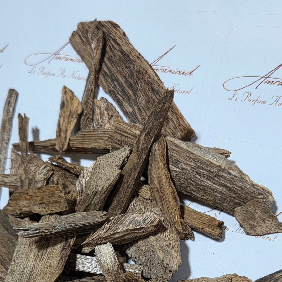 Oudh Naturel indonésien Sumatra