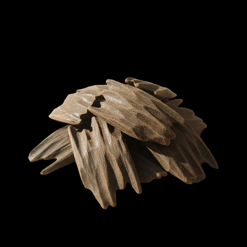 Oud indonésien amélioré 3