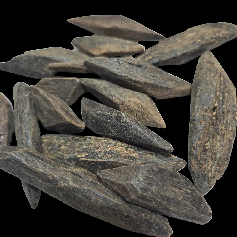 Oudh Thaïlandais Amélioré – 20grs | Qualité Premium