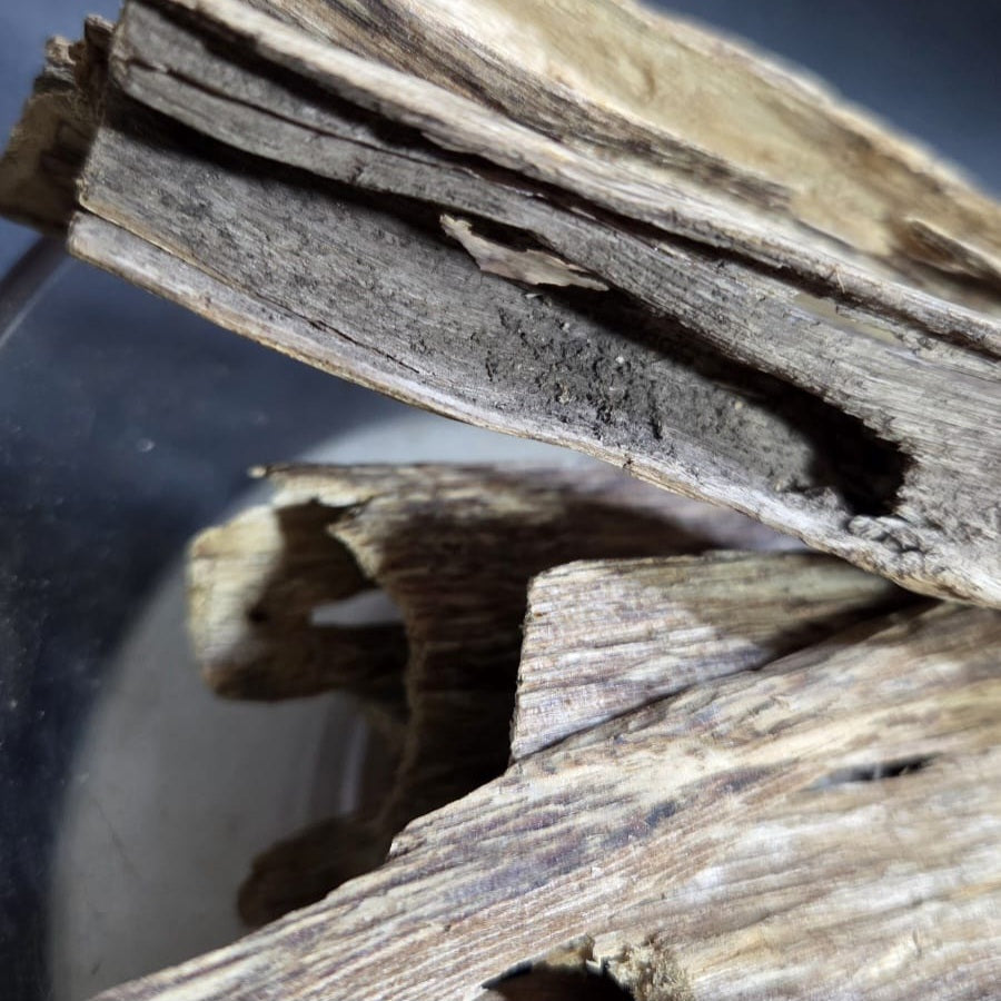 Oudh Naturel indonésien wezri