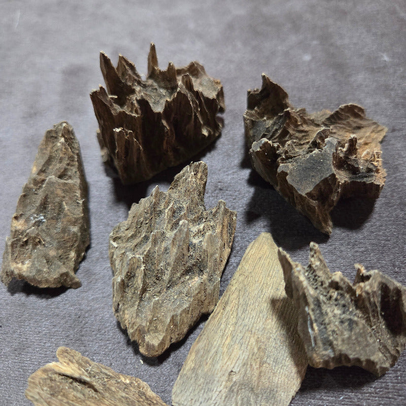 Oudh Naturel indonésien 96 grammes