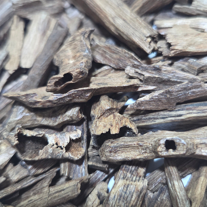 Assam Oud, Hindi Oud, Oud d'Assam 10 grs