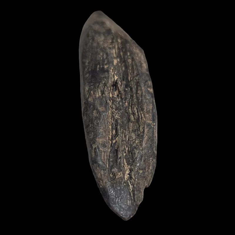 Oudh Thaïlandais a la pièce pour essayer
