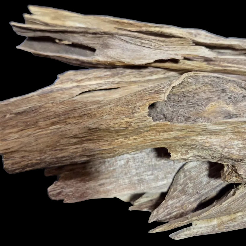 Oudh Naturel indonésien wezri