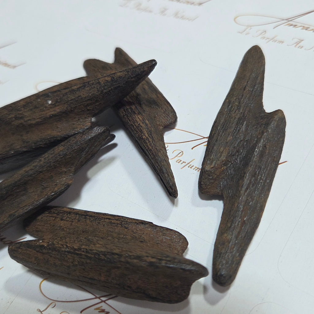 Oudh Merauke Muhassan 18 grs