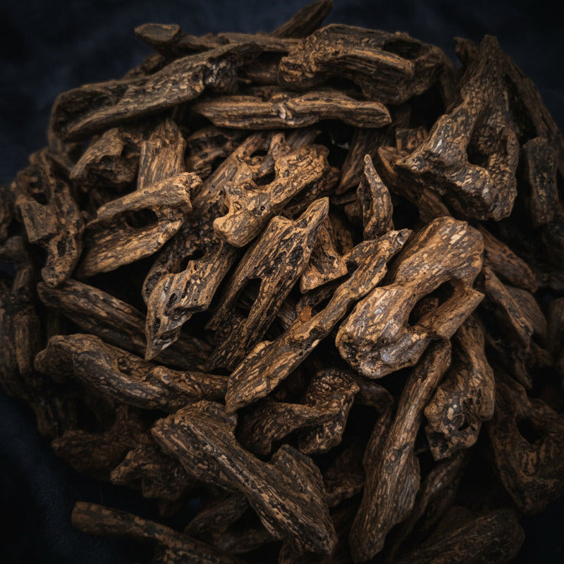 Oudh Kalimantan (amélioré) 2/ Double Super Quality(Bois d'Agar à Brûler) 10 grammes