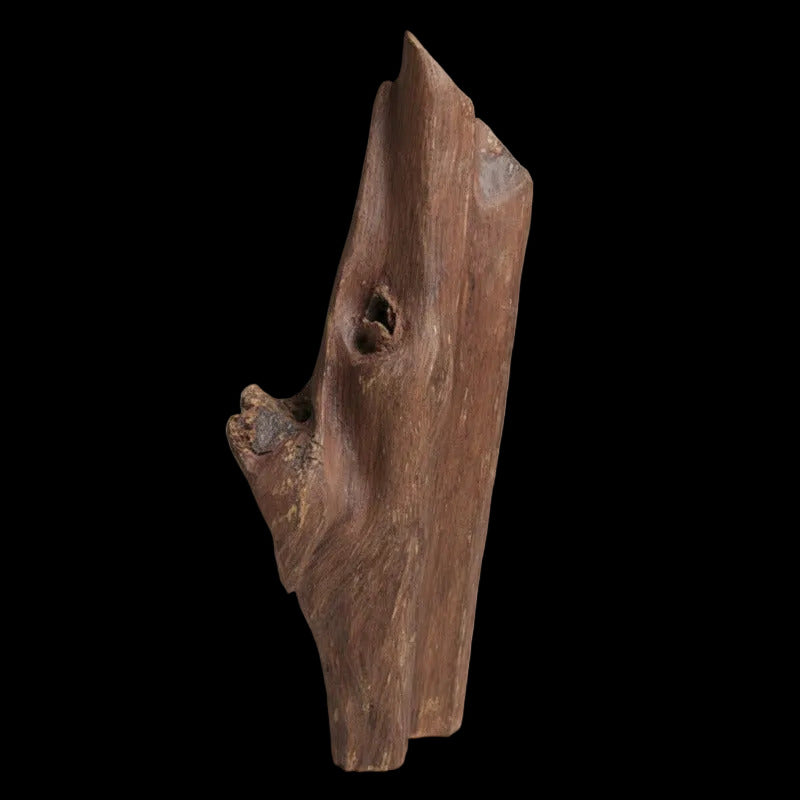 Oudh Naturel Indonésien Sculpté – Pièce Unique 718grs