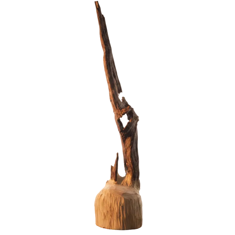 Oudh Naturel Sculpté – Pièce Unique 152g