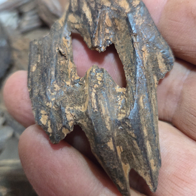 Oudh Kalimantan (amélioré) / Double Super Quality(Bois d'Agar à Brûler) 10 grammes