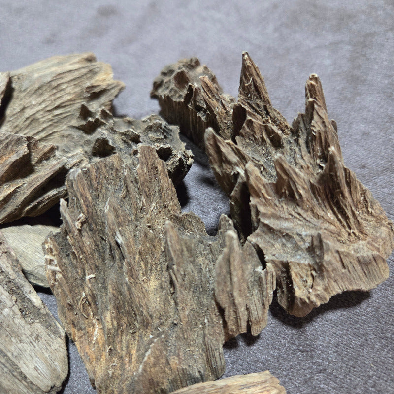 Oudh Naturel indonésien 96 grammes