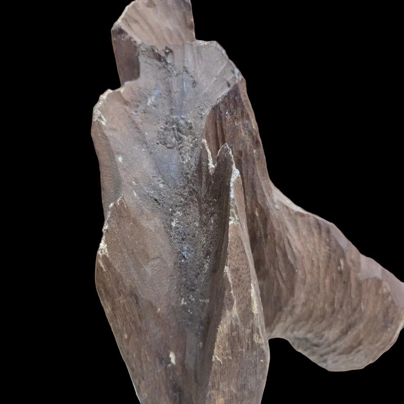 Oudh Naturel Indonésien Sculpté – Pièce Unique 1030grs
