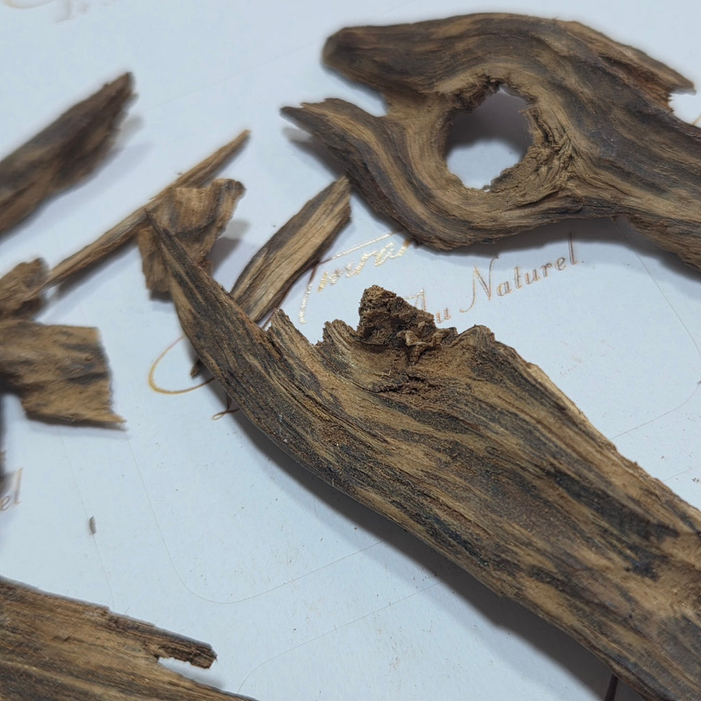 Oudh Malinou TRÈS ANCIENNE – Bois d’agar précieux