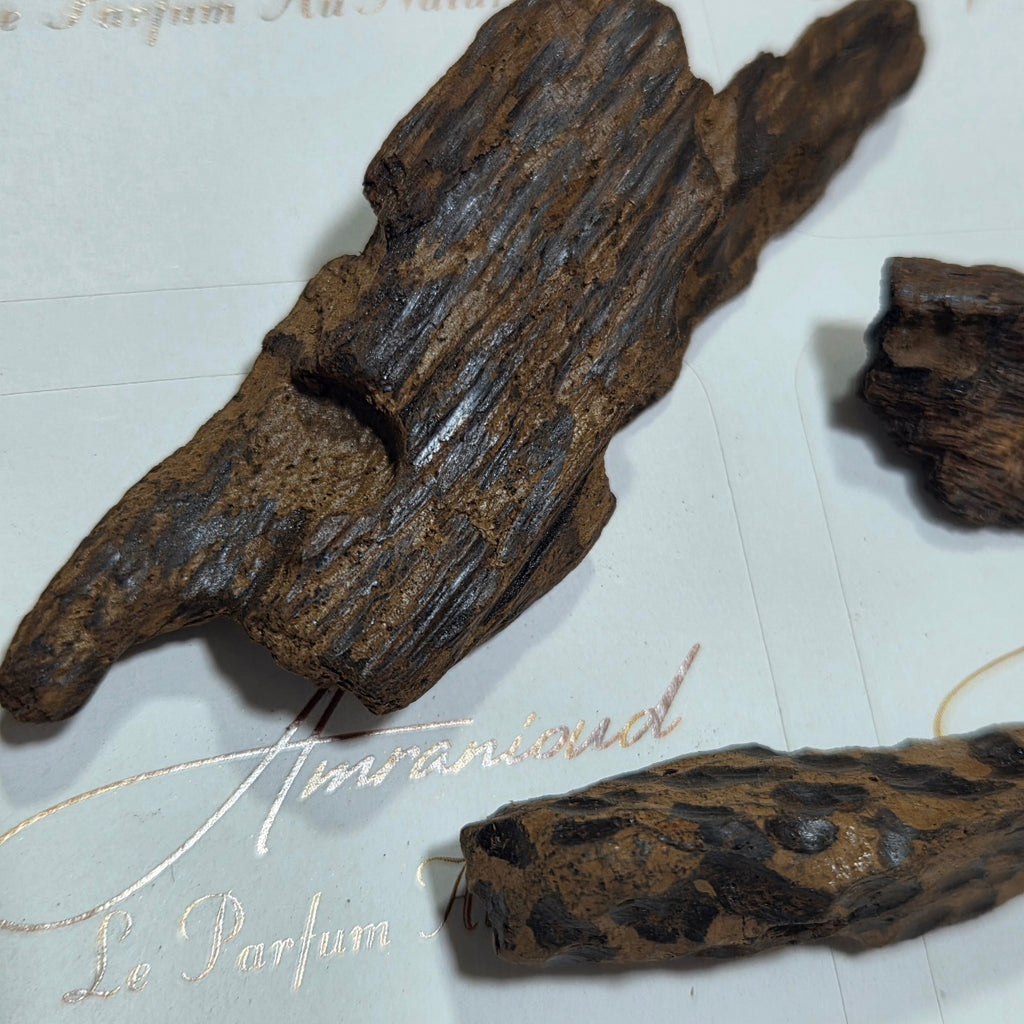 Oudh Tiger vietnamien pur / Double Super Quality(Bois d'Agar à Brûler) 5 grammes