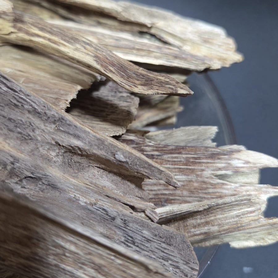 Oudh Naturel indonésien wezri