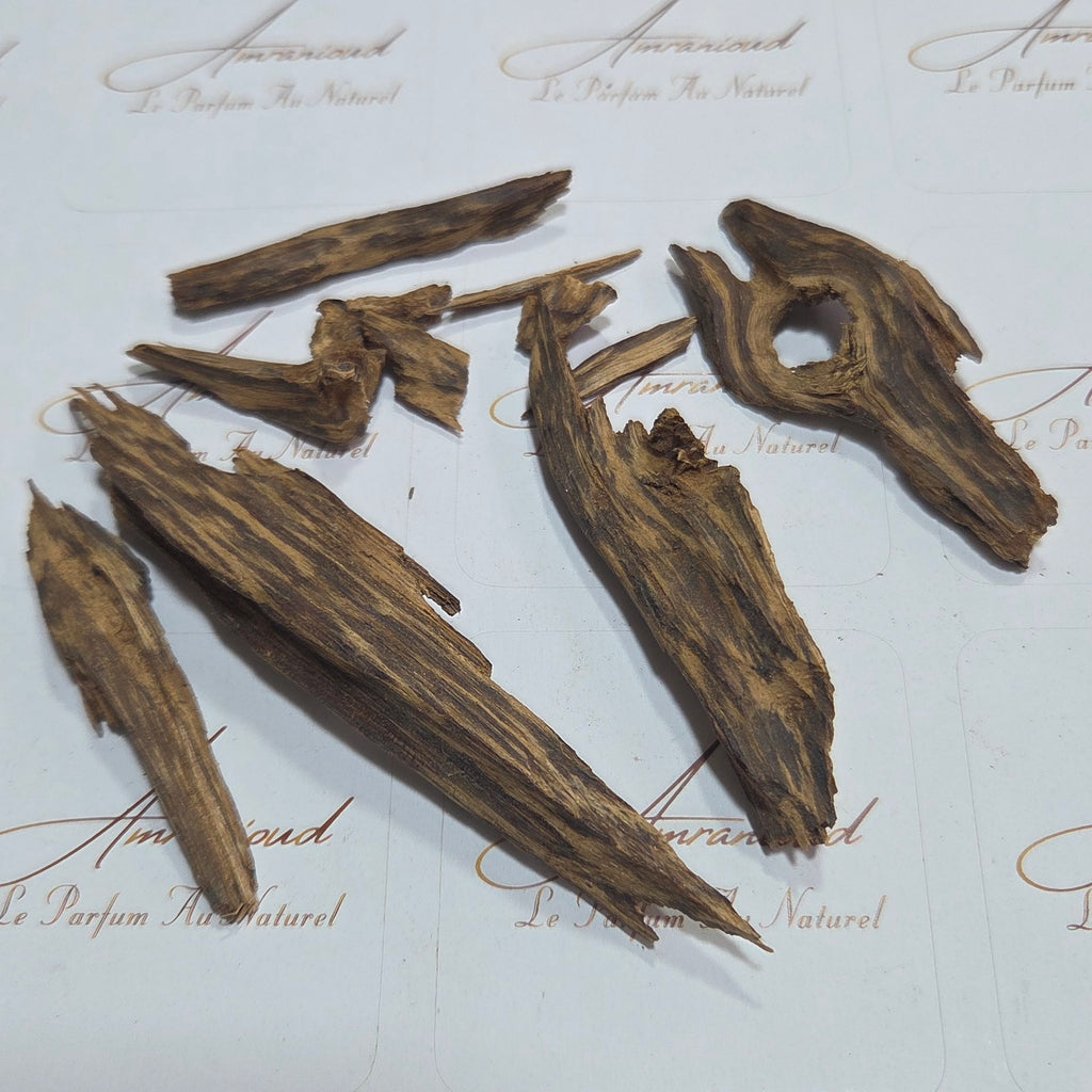 Oudh Malinou TRÈS ANCIENNE – Bois d’agar précieux